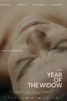Year of the Widow poster