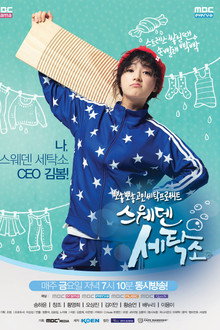 Sweden Laundry poster