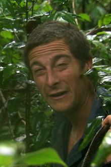 Jungle Swamp (1)