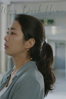 Way Back Home poster