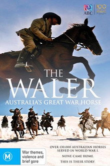 The Waler: Australia's Great War Horse poster