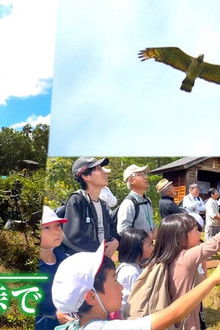 Nagano, at the mountain pass looking up at the hawks