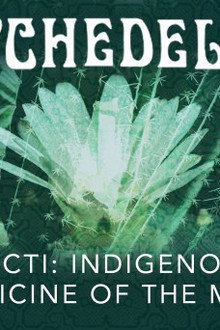 Cacti: Indigenous Medicine of the Mind