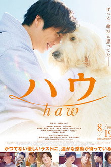 Haw poster