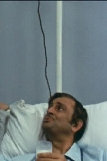 La Dame au chapeau à plumes