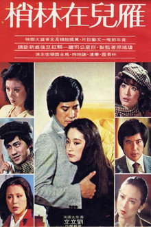 The Wild Goose on the Wing poster