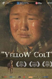 Yellow Colt poster