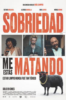 Dear Sobriety: You're Killing Me poster