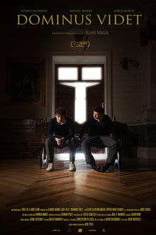 Dominus videt poster