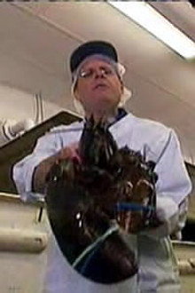 Crustacean Nation II: Claws