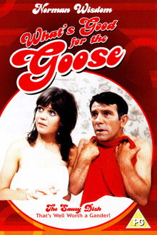 What's Good for the Goose poster