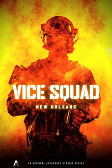 Vice Squad: New Orleans poster