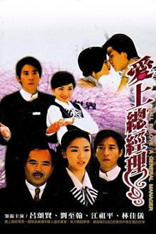 爱上总经理 poster