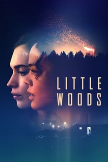 Watch Movies Little Woods (2019) Full Free Online