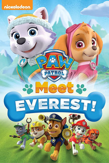 PAW Patrol: Meet Everest poster