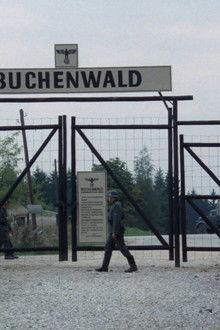 The Road To Babi Yar