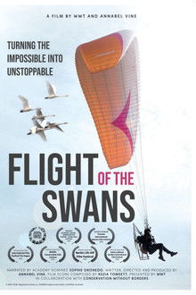 Flight of the Swans poster