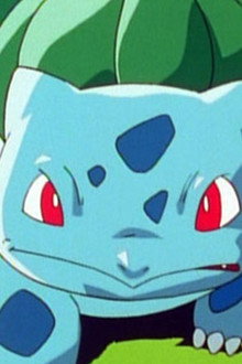 Bulbasaur and the Hidden Village