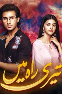 Teri Rah Mein poster