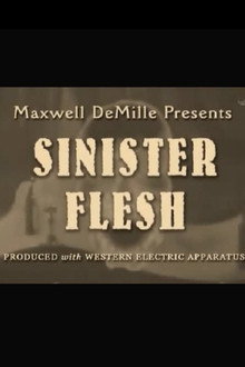 Sinister Flesh poster
