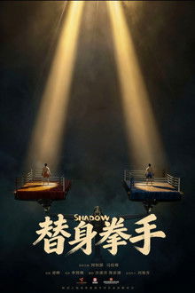替身拳手 poster