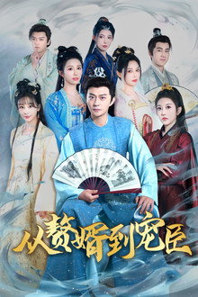 从赘婿到宠臣 poster