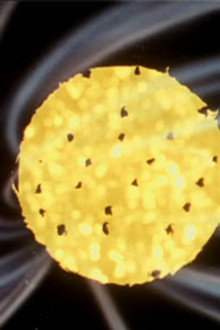 The Horrible Sea-Devil