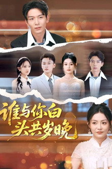 谁与你白头共岁晚 poster