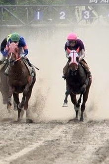 Dreams Bloom at Kochi Racecourse