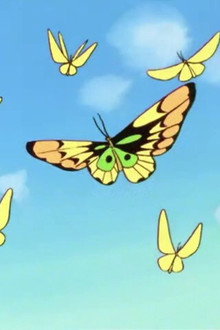 Revenge of the Gold Butterfly