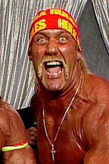 Saturday Night's Main Event - Jan 27, 1990