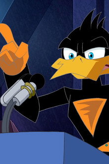 Cape Duck