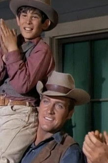 Into the Widow's Web