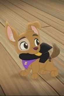 The Pirate Pup!