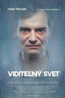 Visible World poster