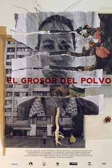 El Grosor del Polvo poster