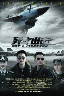 Sky Fighters poster
