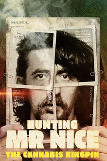 Hunting Mr Nice: The Cannabis Kingpin poster