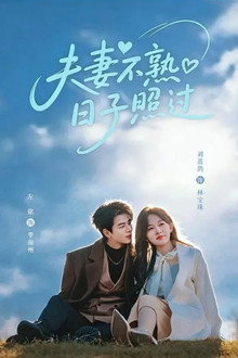 夫妻不熟，日子照过 poster