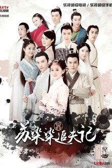 苏染染追夫记 poster