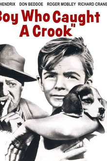 Boy Who Caught a Crook poster