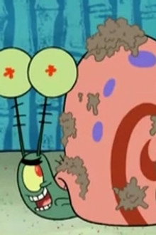 Shellback Shenanigans