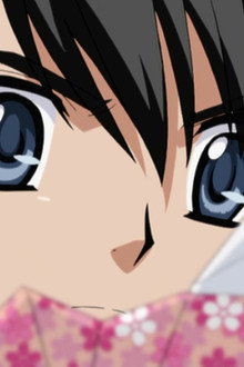 A Great Decision! A Fool for Love and Acclamation!