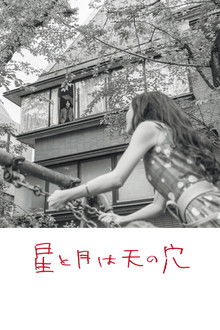 The Stars and the Moon are Holes in the Sky poster