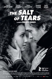 The Salt of Tears poster