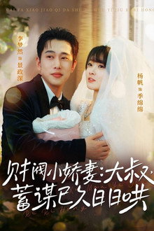 财阀小娇妻：大叔，蓄谋已久日日哄 poster