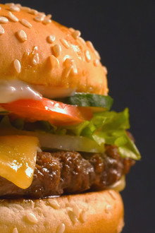 The Kings of Burgers