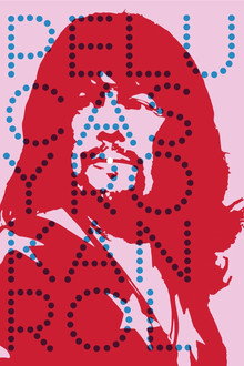 Pelucas y rokanrol poster