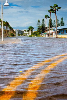 Double Hurricane Disaster