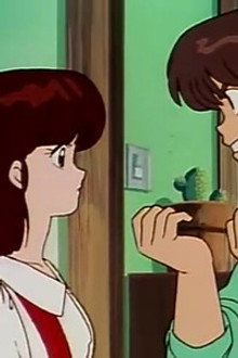 Yagami's Back by the Time She's Forgotten